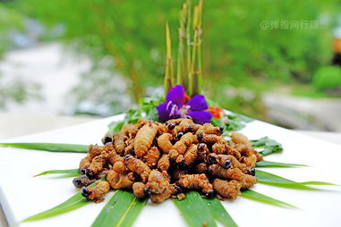 舌尖上的肇慶 地道農副產品零食的味蕾盛宴